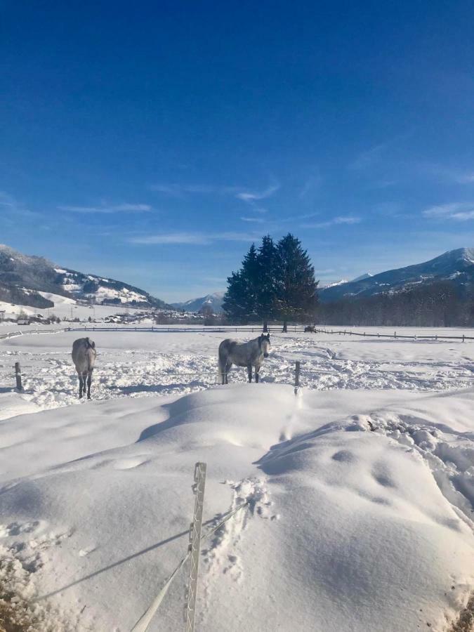 Traumhafte Wohnung Auf Pferde Ranch Aich  Buitenkant foto