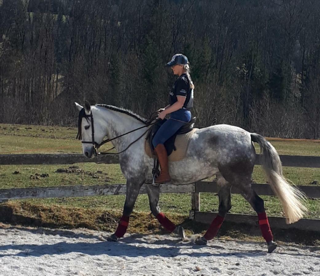 Traumhafte Wohnung Auf Pferde Ranch Aich  Buitenkant foto